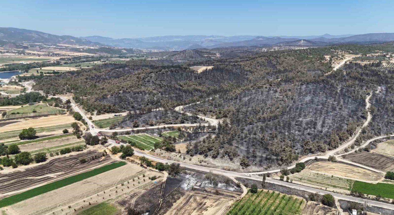 Bilecikte yanan ormanlık ve kırsal alan havadan görüntülendi