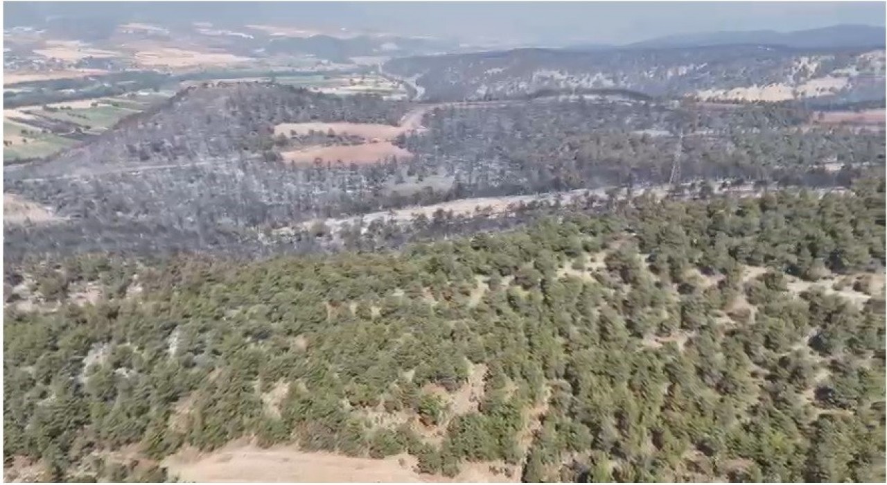 Bilecikte yangın bölgesi havadan görüntülendi