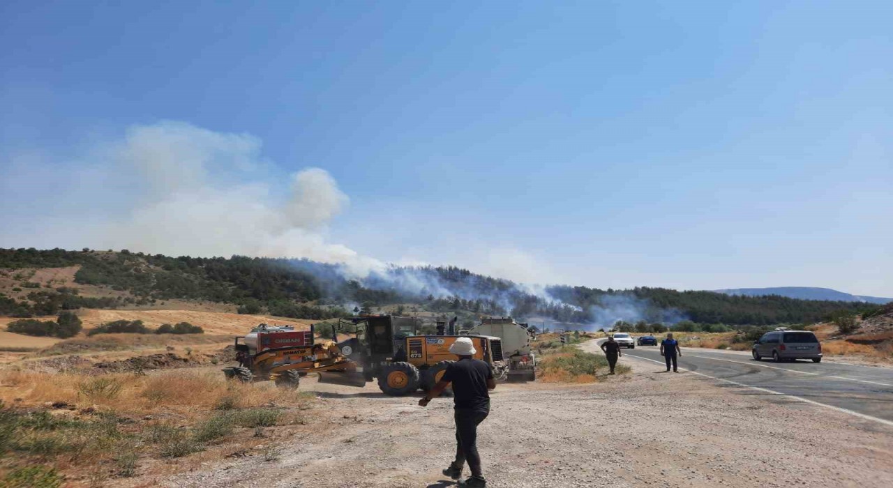 Bilecikte yeni orman yangını