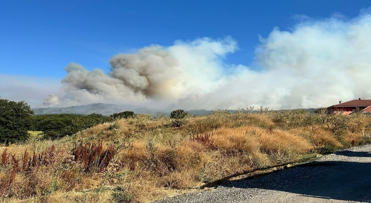 Bilecikteki orman yangınına müdahale devam ediyor