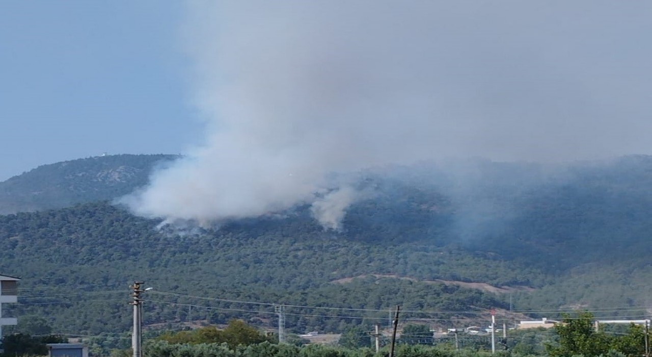 Bilecikteki orman yangınında alevler Borcak köyüne doğru ilerliyor