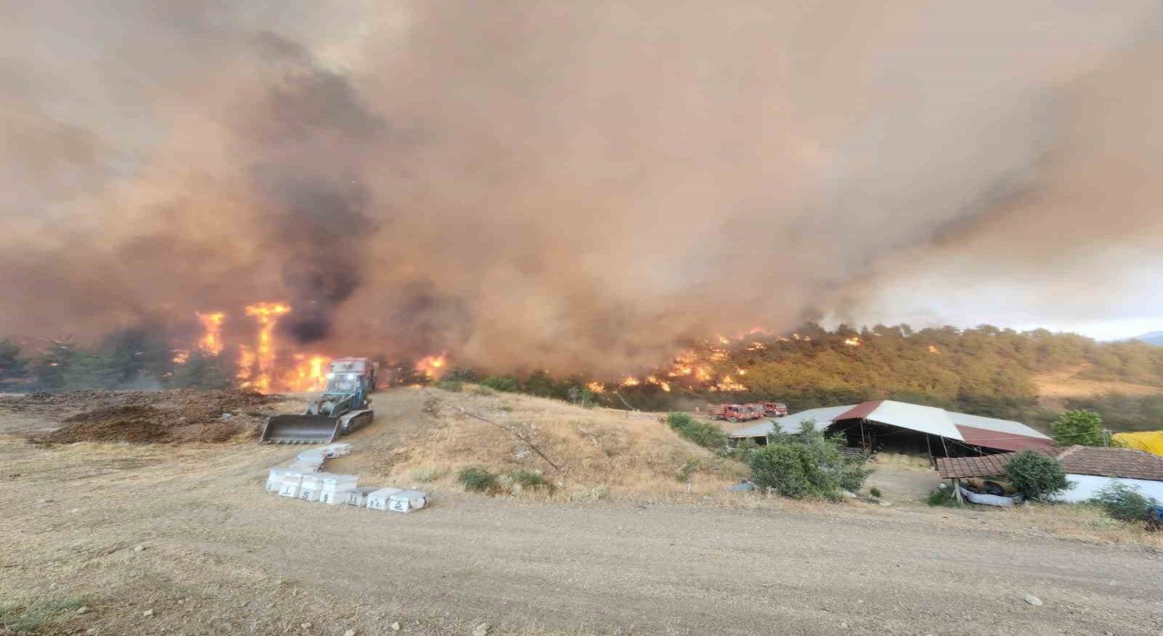 Bilecikteki orman yangınında alevler Kazancı köyüne ulaştı