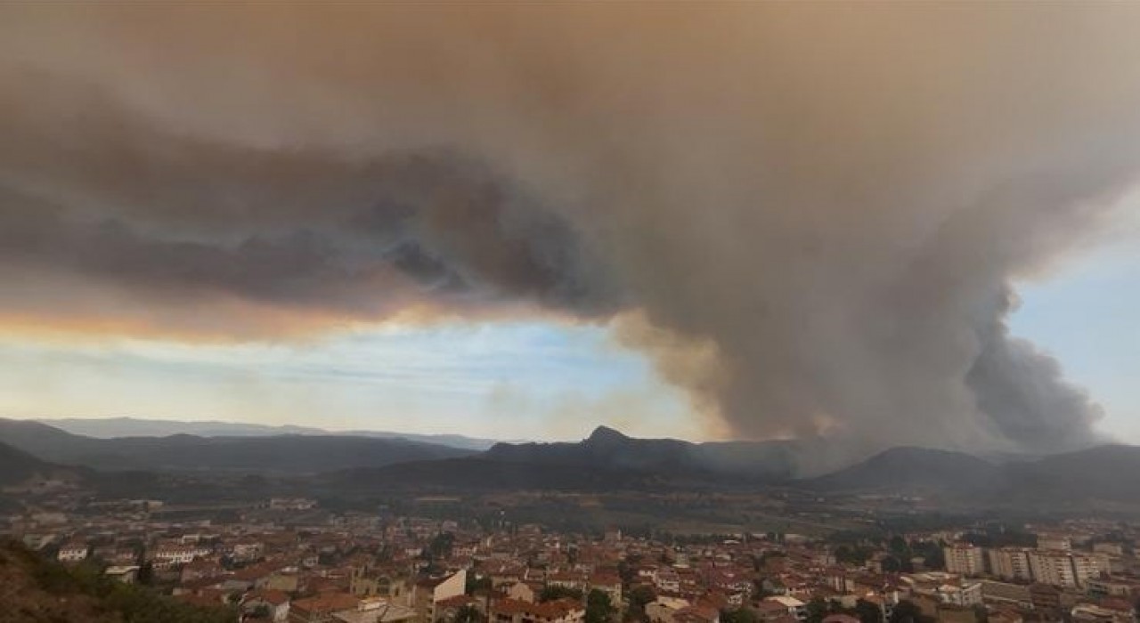 Bilecikteki orman yangınında son durum