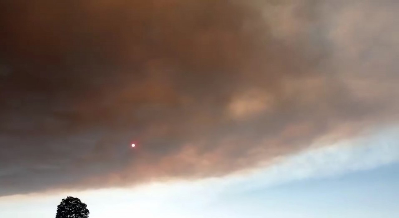 Bilecikteki yangının dumanları Bursaya ulaştı