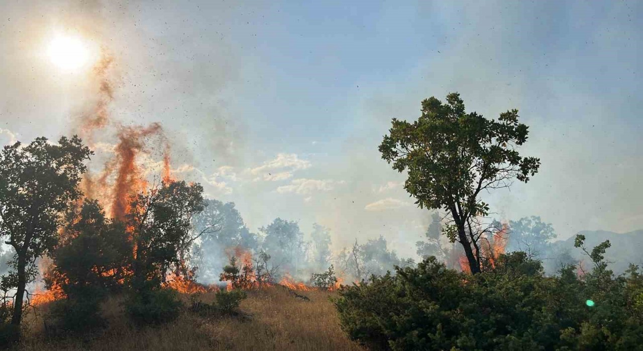 Bingölde çıkan orman yangınları söndürüldü