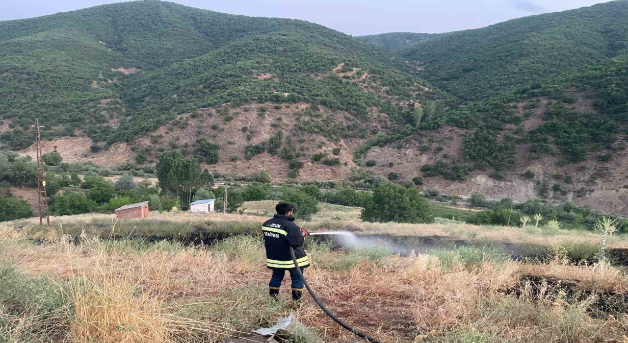 Bingölde çıkan örtü yangını söndürüldü
