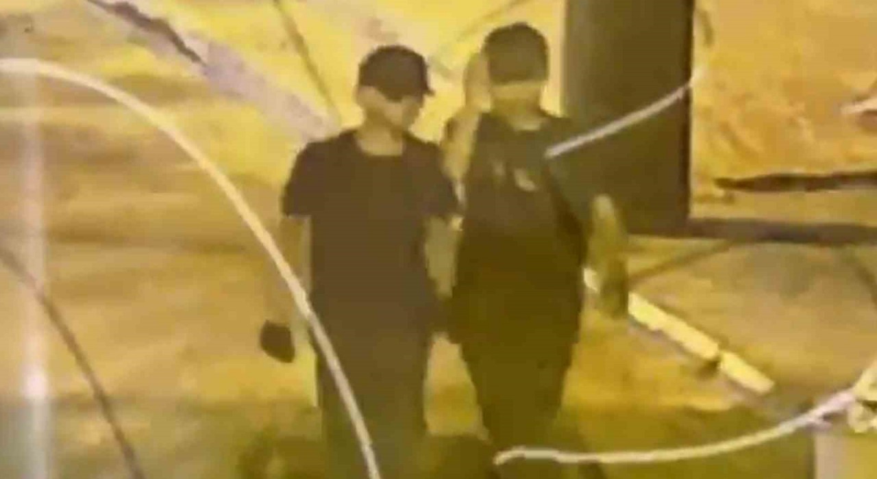 Bingölde hırsızlık yapan 2 şüpheli yakalandı