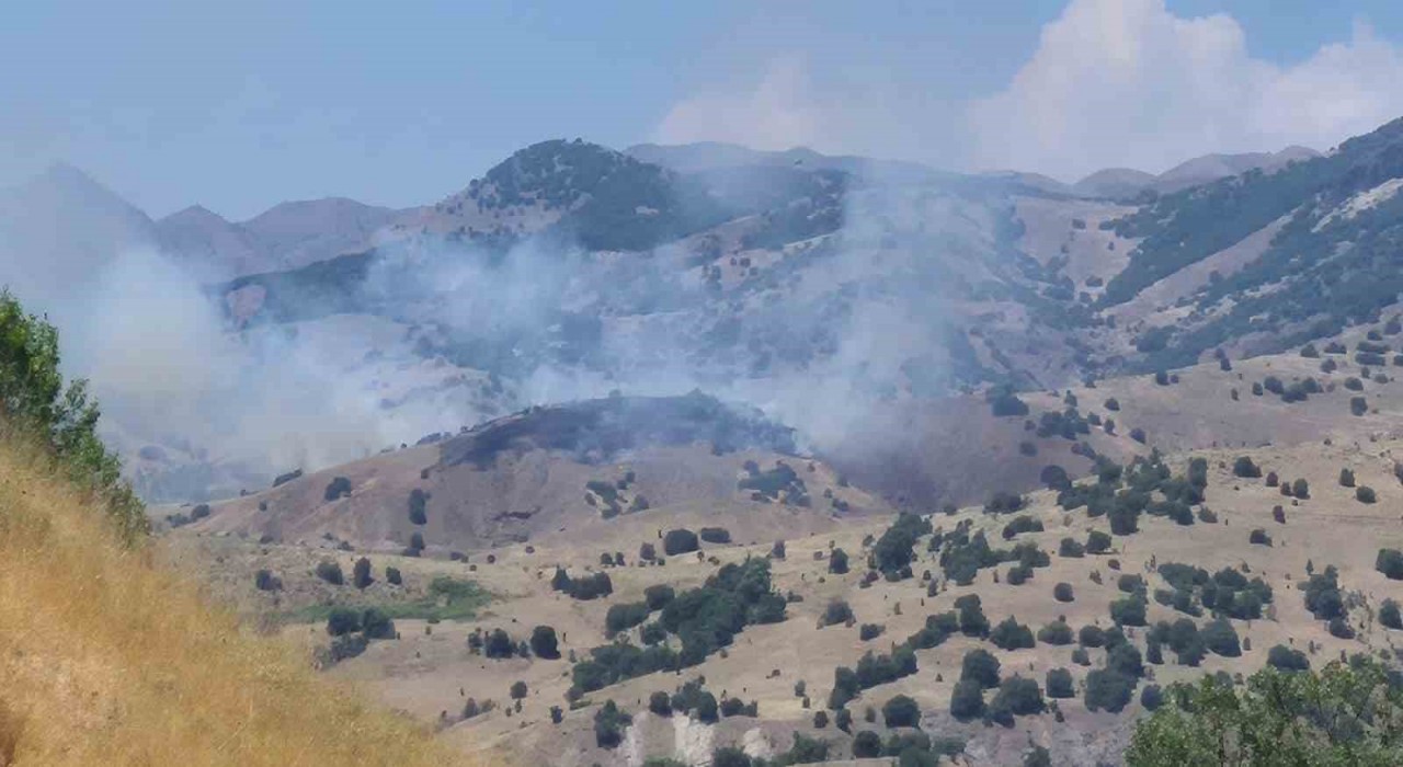 Bingölde orman yangını kontrol altına alındı