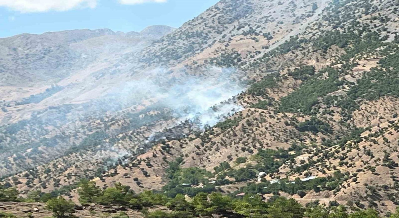 Bingöldeki orman ve arazi yangınları söndürüldü