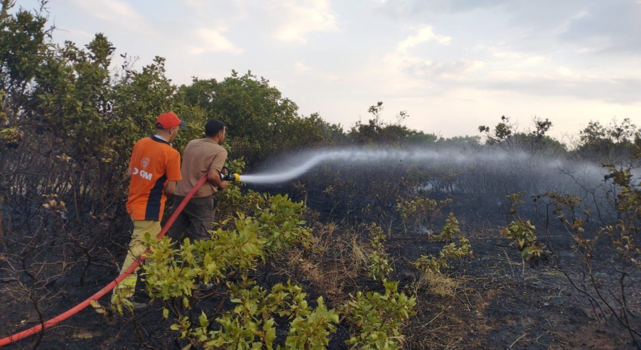 Bingöldeki orman yangını kontrol altına alındı