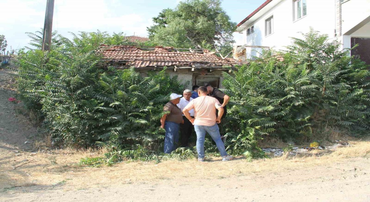 Bir şehir bunu konuşuyor: Keloğlanın Çankırılı olduğu iddiası gündem oldu