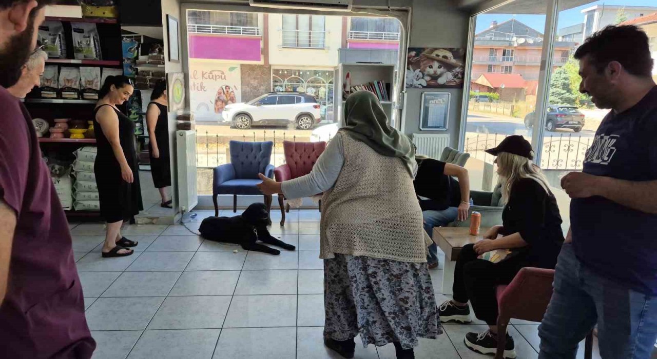 Bir yıl sonra çip sayesinde kavuştular