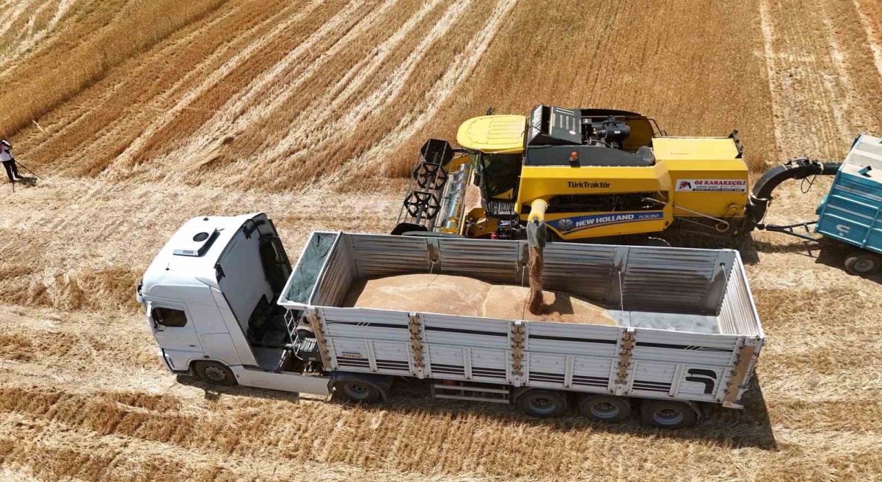 Bitliste buğday ve arpada rekor gelir