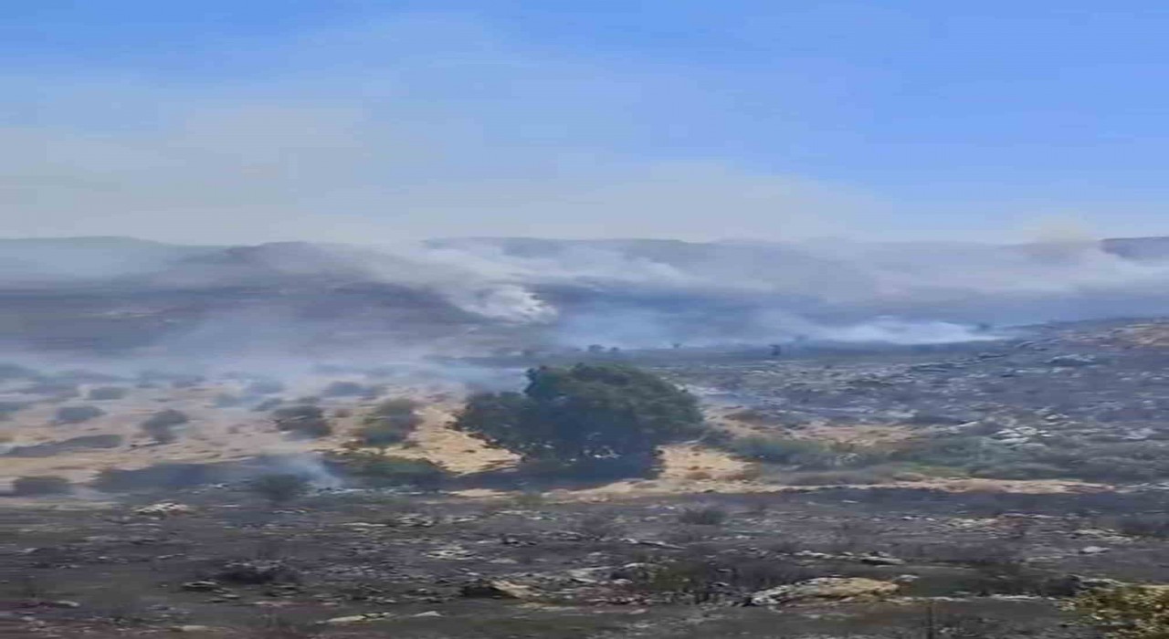 Bodrumda otluk alanda çıkan yangın kısa sürede kontrol altına alındı