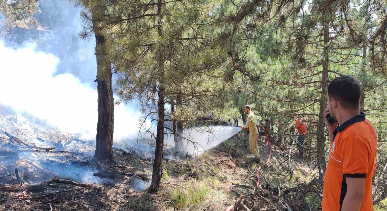 Boluda çıkan orman yangını büyümeden söndürüldü