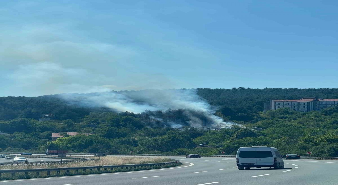 Boluda çıkan orman yangını büyümeden söndürüldü