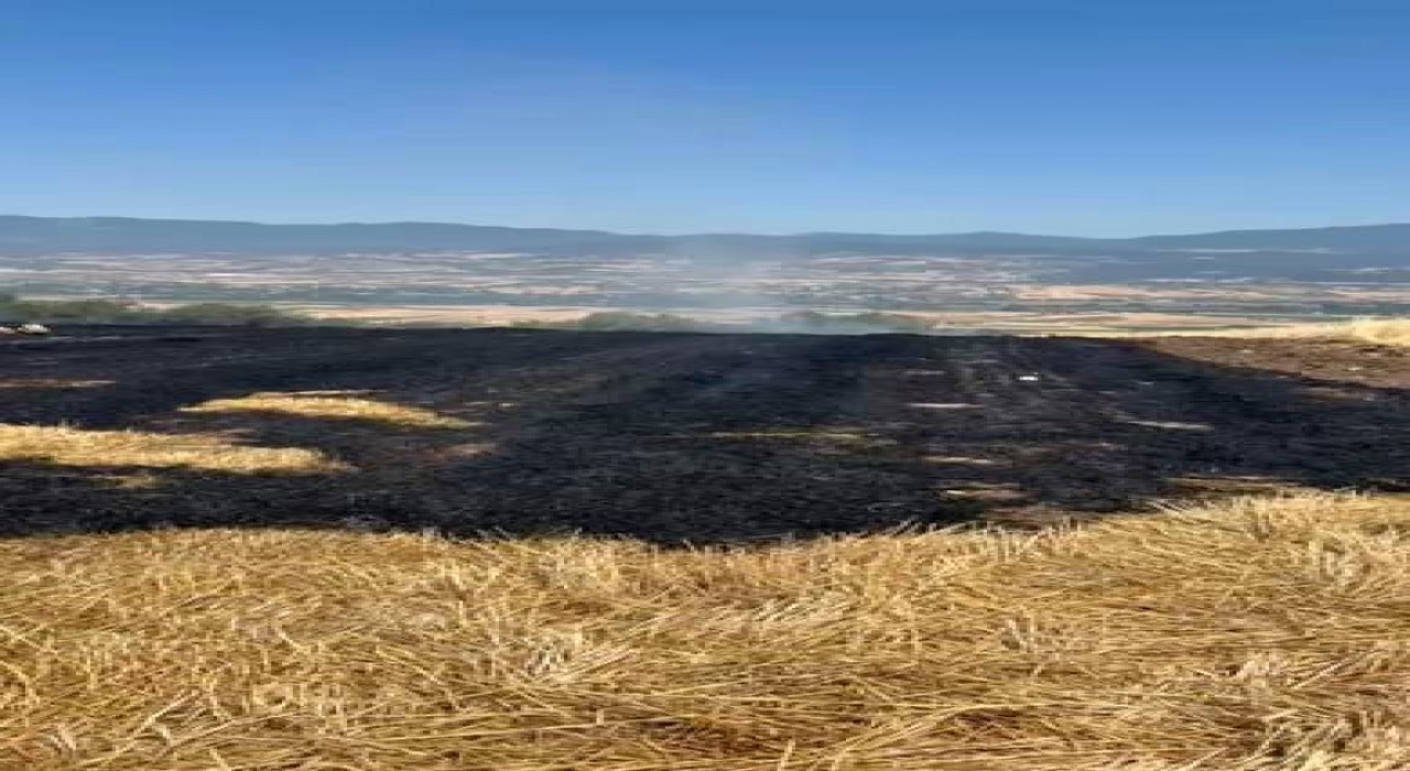 Boluda korkutan anız yangını, evlere sıçramadan söndürüldü