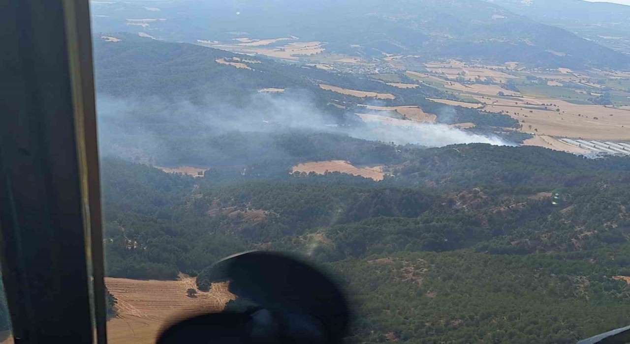 Boluda orman yangını