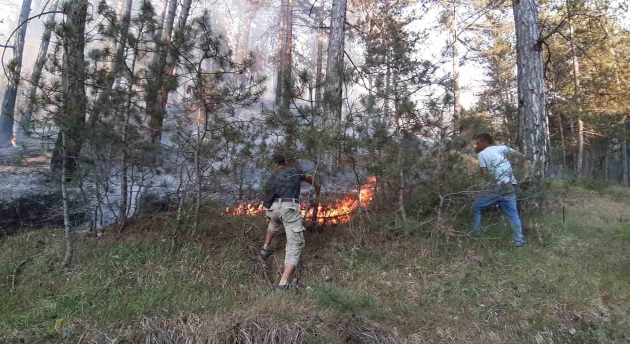 Boluda orman yangını başladı