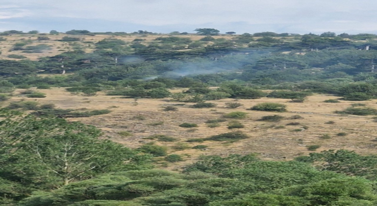 Boluda yıldırım kaynaklı çıkan yangınlar söndürüldü