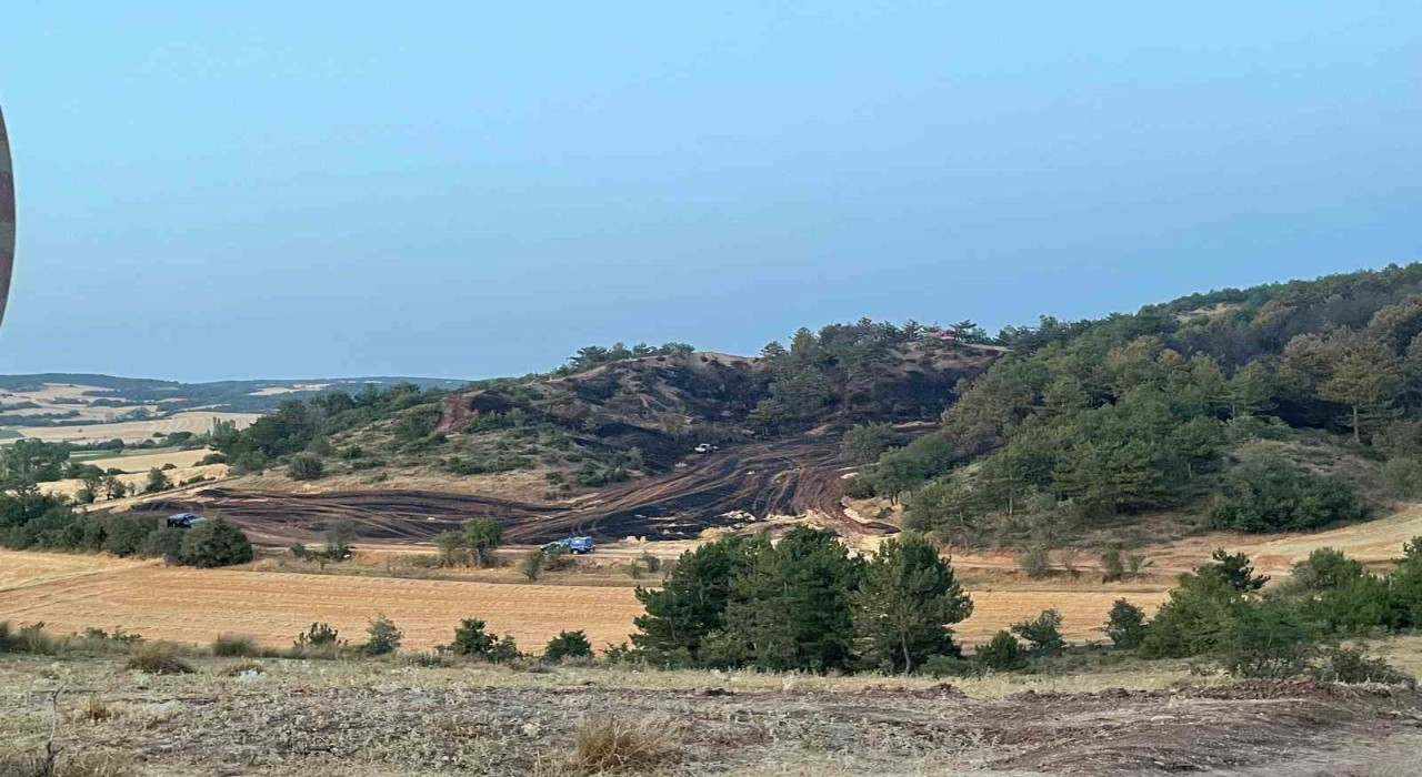 Boludaki orman yangını kontrol altına alındı