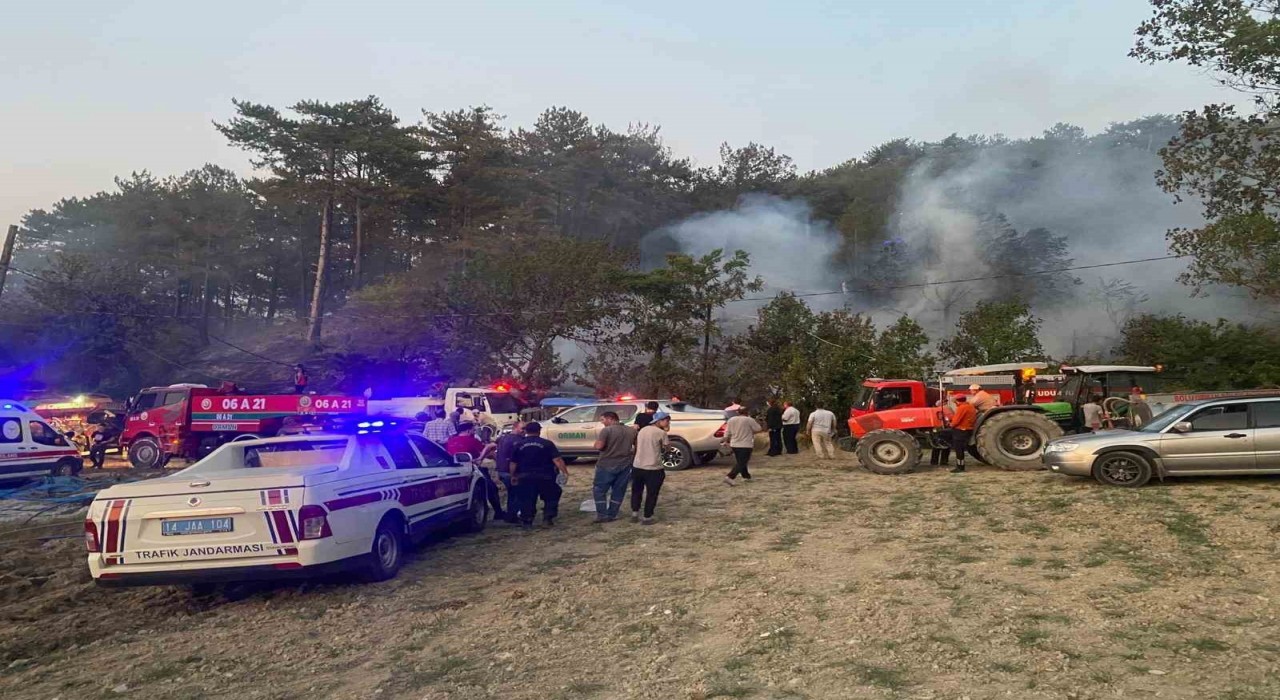 Boludaki orman yangını kontrol altına alındı