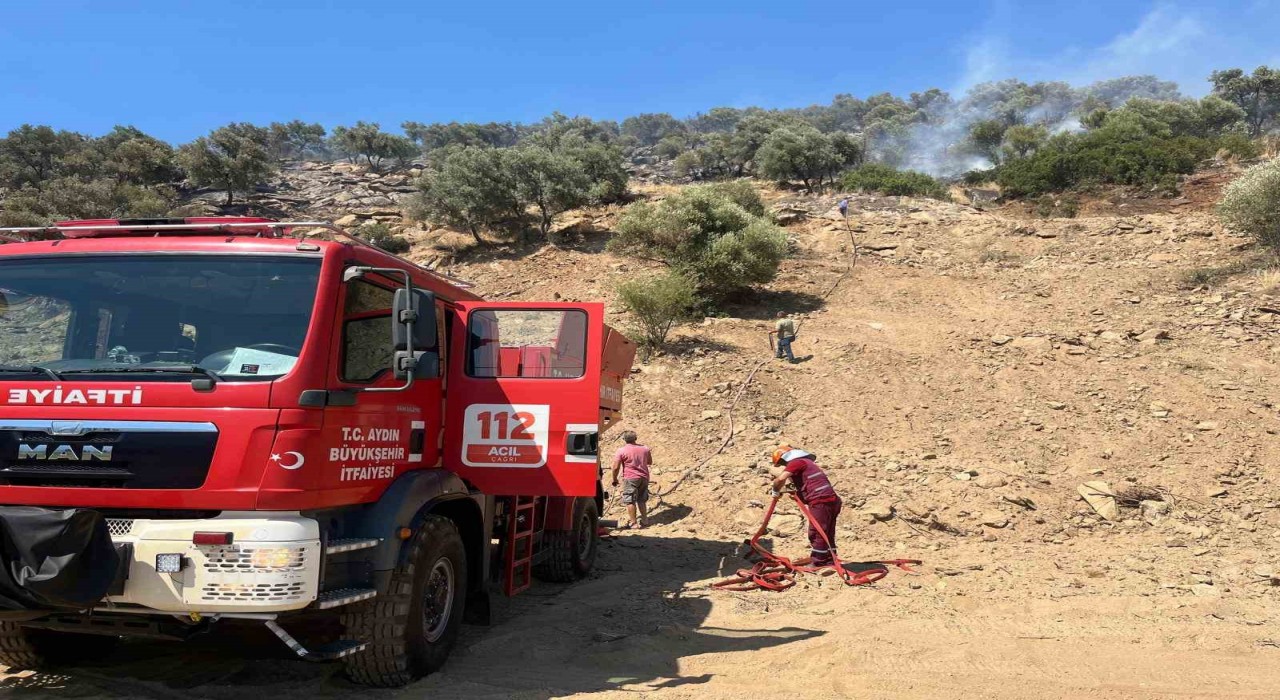 Bozdoğandaki zirai alan yangını söndürüldü