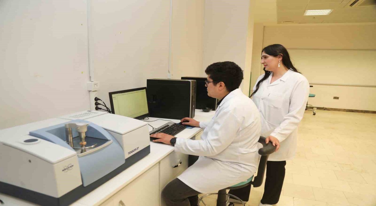 BTÜdenyerli odun türlerini mobilya ve yapı sektörüne kazandıracak proje