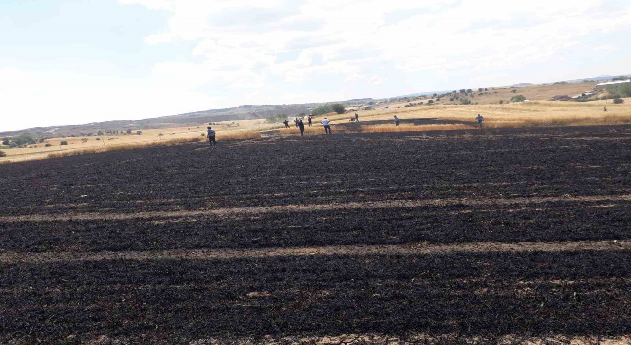 Buğday ekili tarlada çıkan yangında 15 dönüm alan zarar gördü
