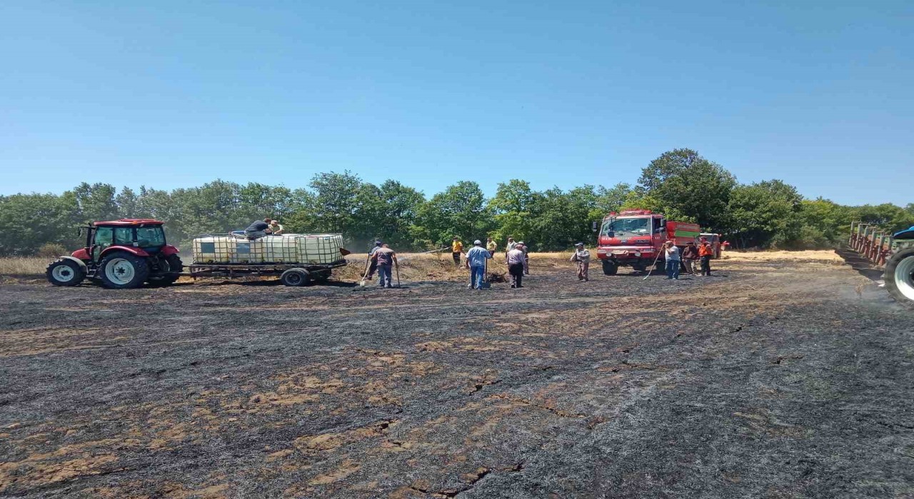 Buğday tarlasında çıkan yangında 10 dönümlük alan zarar gördü