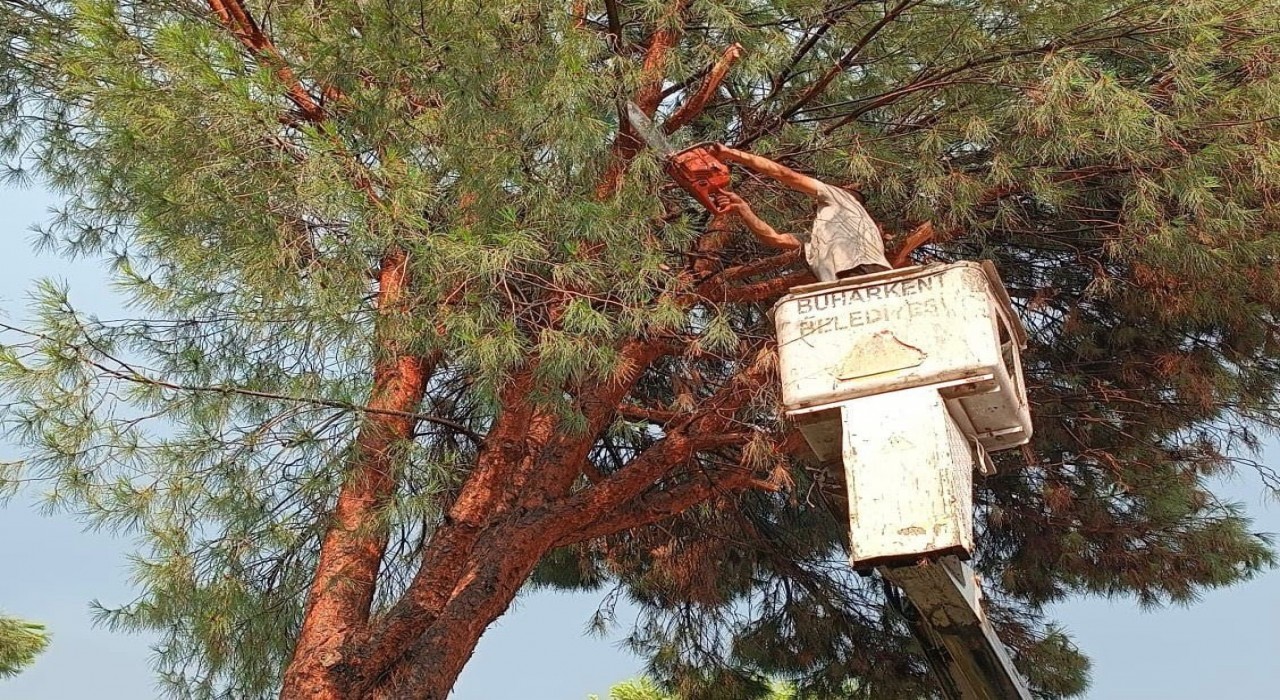 Buharkent Belediyesinden anında müdahale