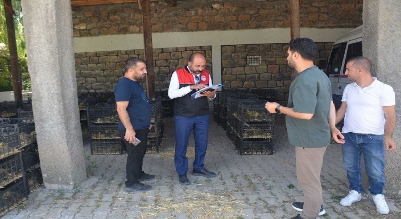 Bulanıkta Kaz Yetiştiriciliği projesi kapsamında kaz palazı dağıtıldı