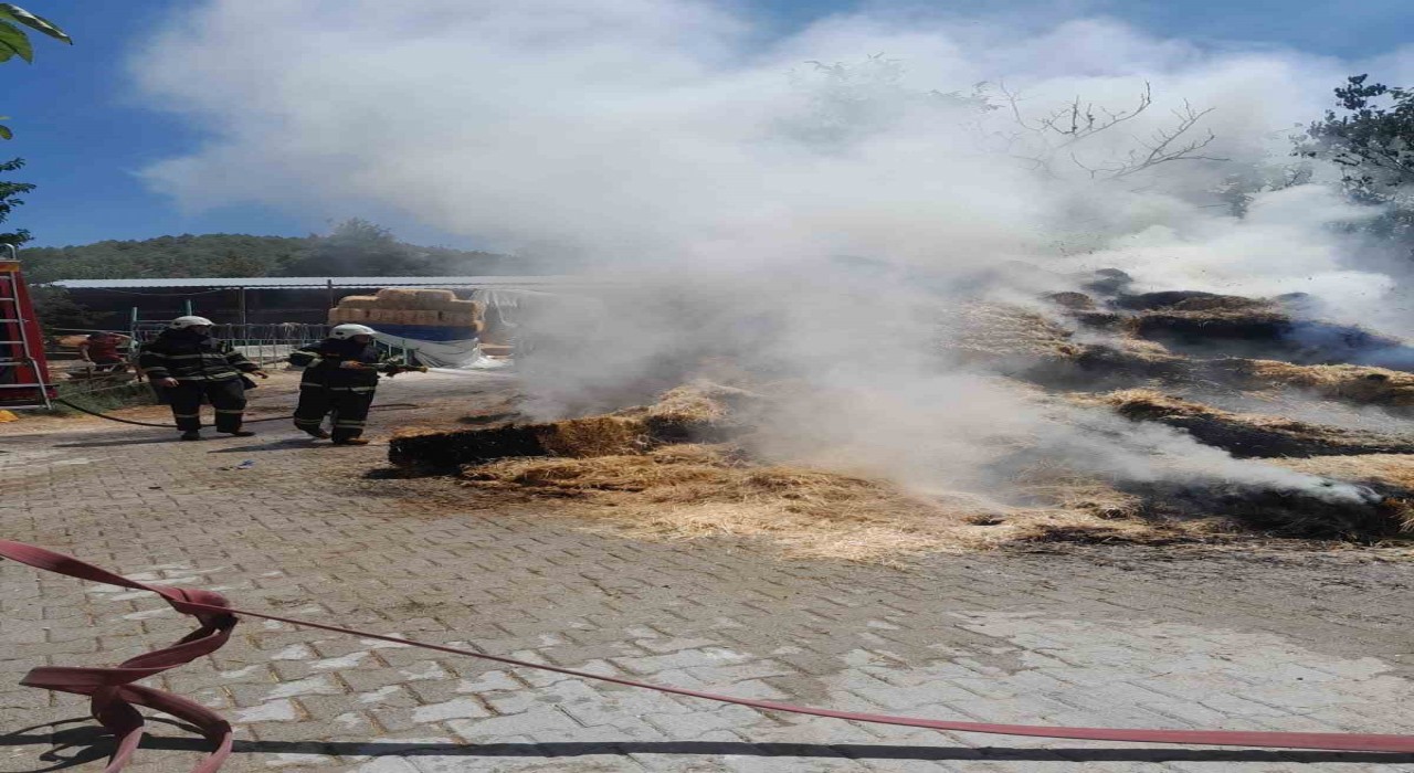 Burdurda çıkan yangında 250 saman balyası kül oldu