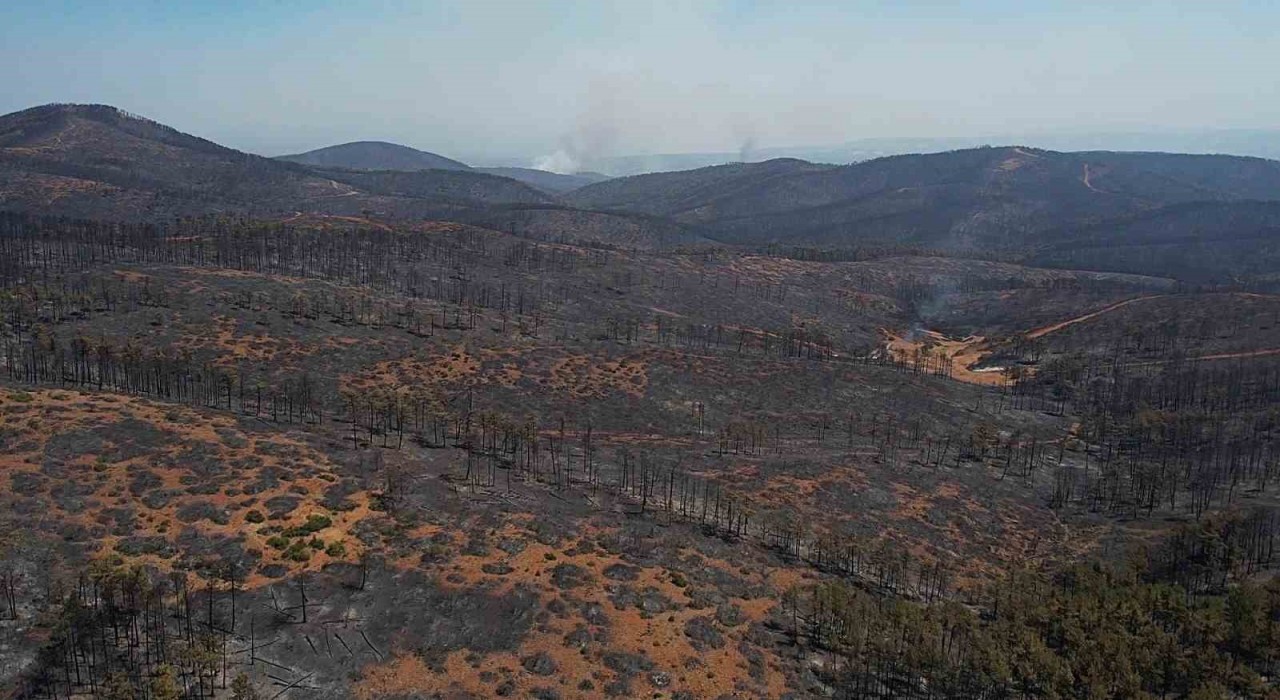 Bursada acı tablo: Harmancıkta yanan yerler havadan görüntülendi