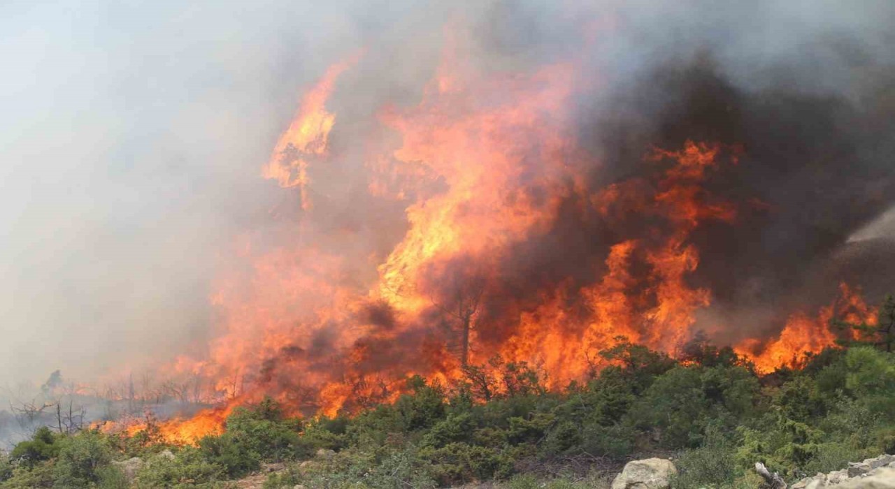 Bursada alevler tekrar yükseldi