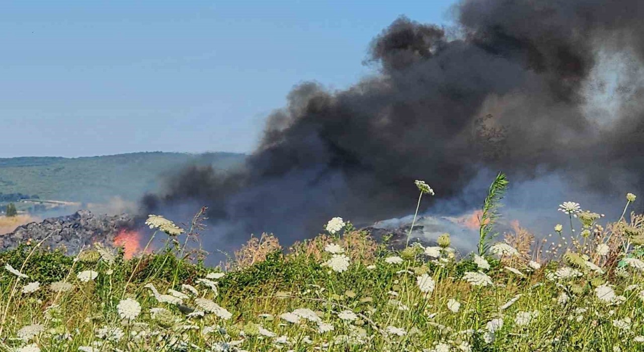 Bursada çiftlikte çıkan yangın 3 yere sıçradı
