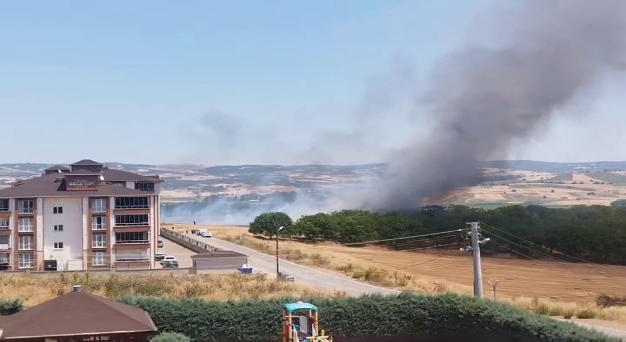Bursada korkutan anız yangını