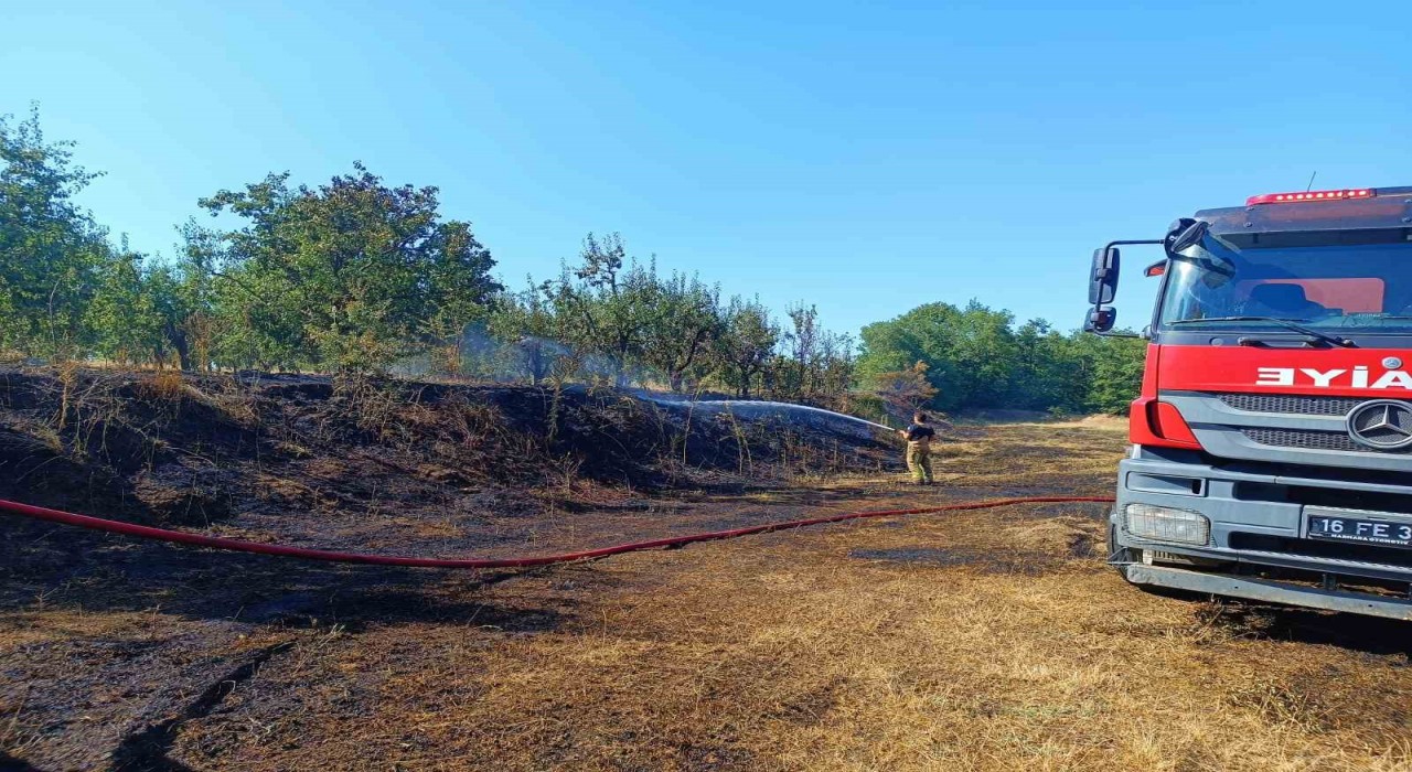 Bursada orman yangını