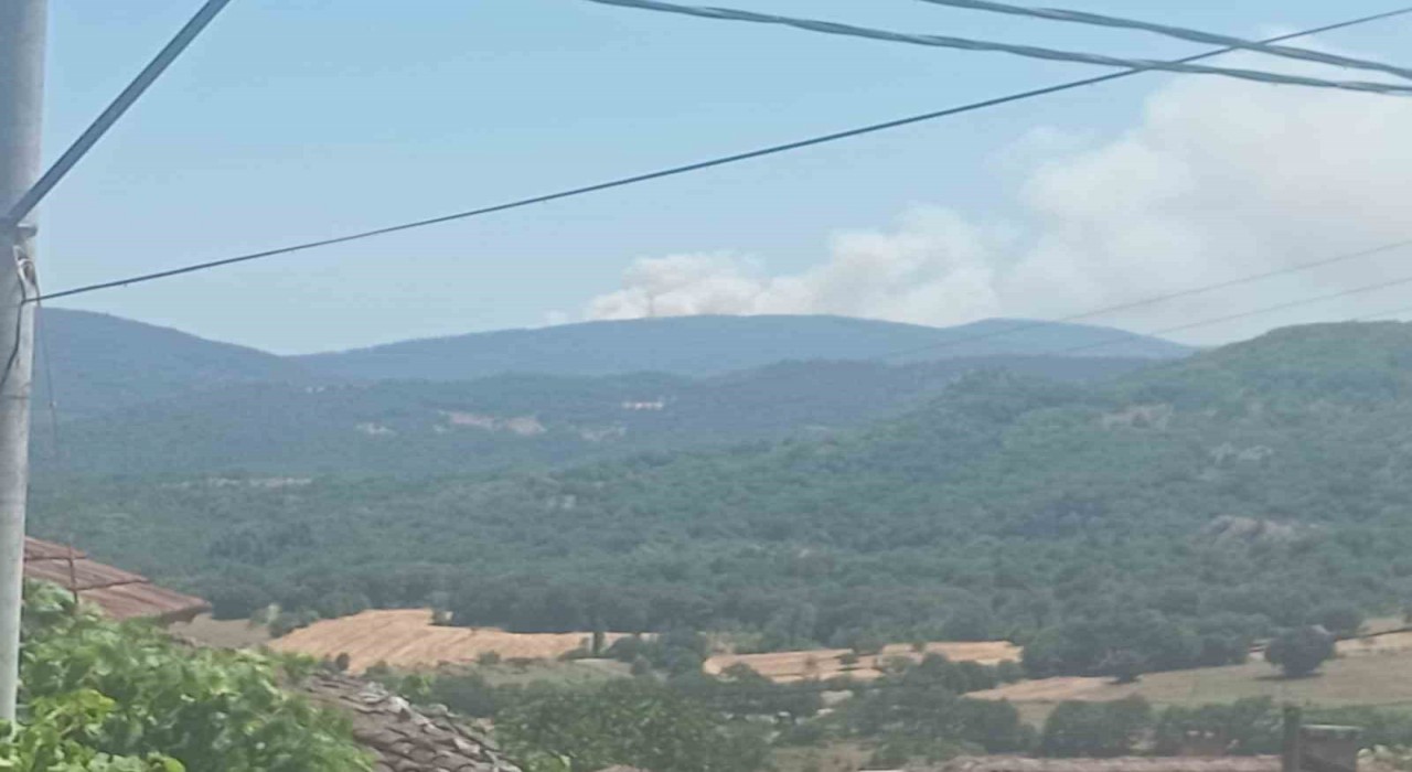 Bursada orman yangını: Havadan ve karadan müdahale ediliyor
