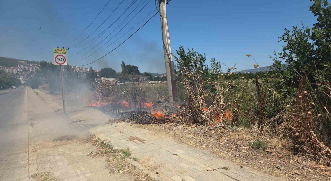 Bursada otluk alanda korkutan yangın