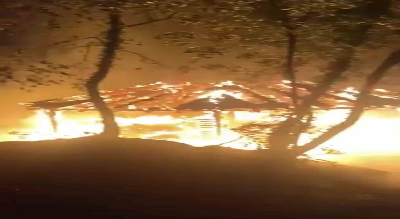 Bursada piknikçilerin söndürmeden bıraktığı ateş ormanı küle çeviriyordu