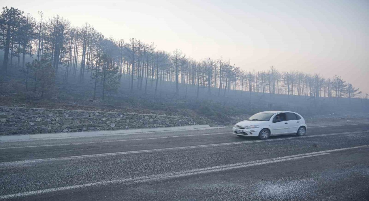 Bursadaki orman yangını 3. gününde... Gökyüzünü kaplayan duman bulutundan göz gözü görmüyor