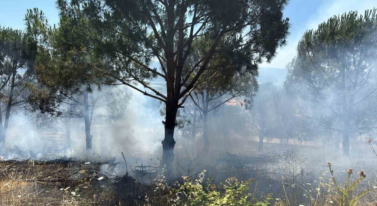 Bursadaki yangın kontrol altına alındı