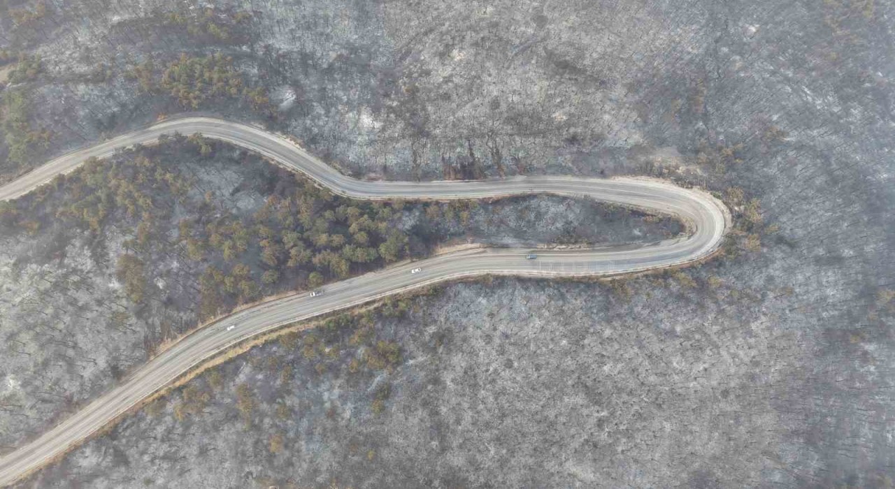Bursadaki yangının acı boyutu gün ağarınca ortaya çıktı