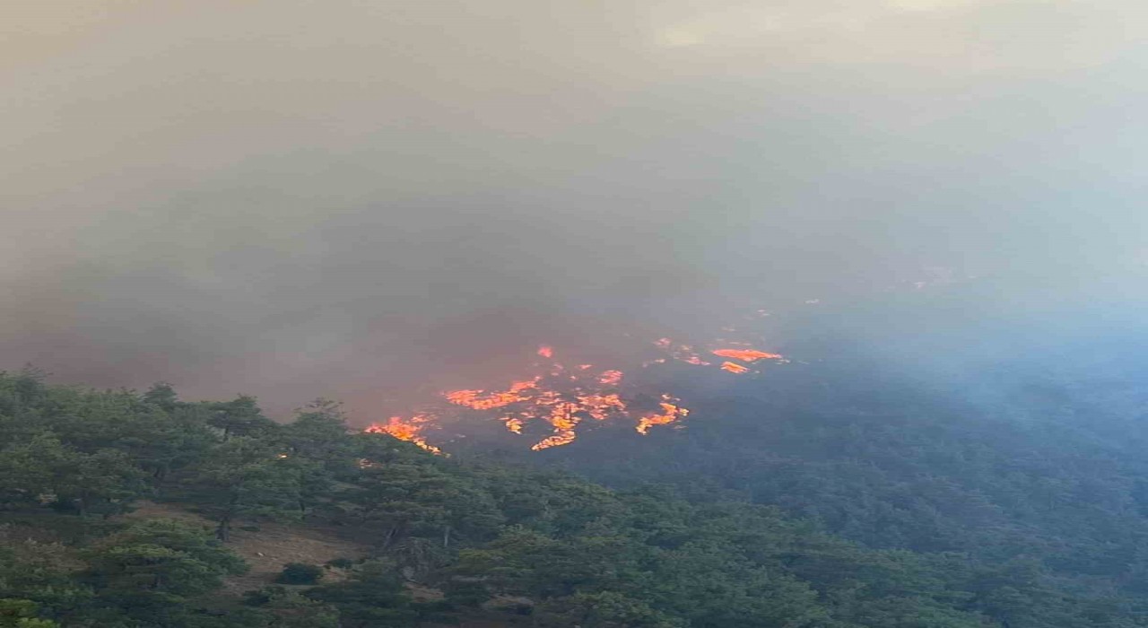 Bursanın ciğerleri yanıyor