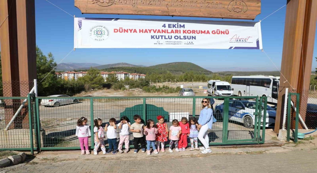 Büyükşehir Geçici Hayvan Bakımevinden 3 bin 779 can dosta yeni yuva
