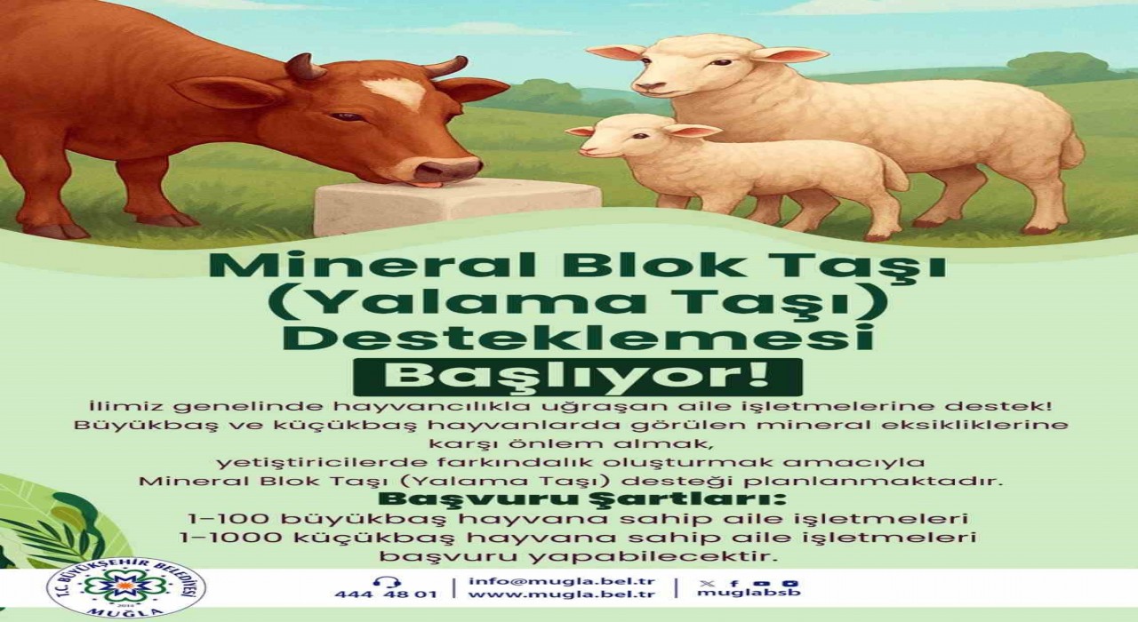 Büyükşehirden hayvanlara yalama taşı desteği
