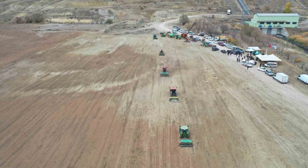 Büyükşehirin mera vasfı kazandırdığı 400 dekar alanda bin 500 büyükbaş otluyor