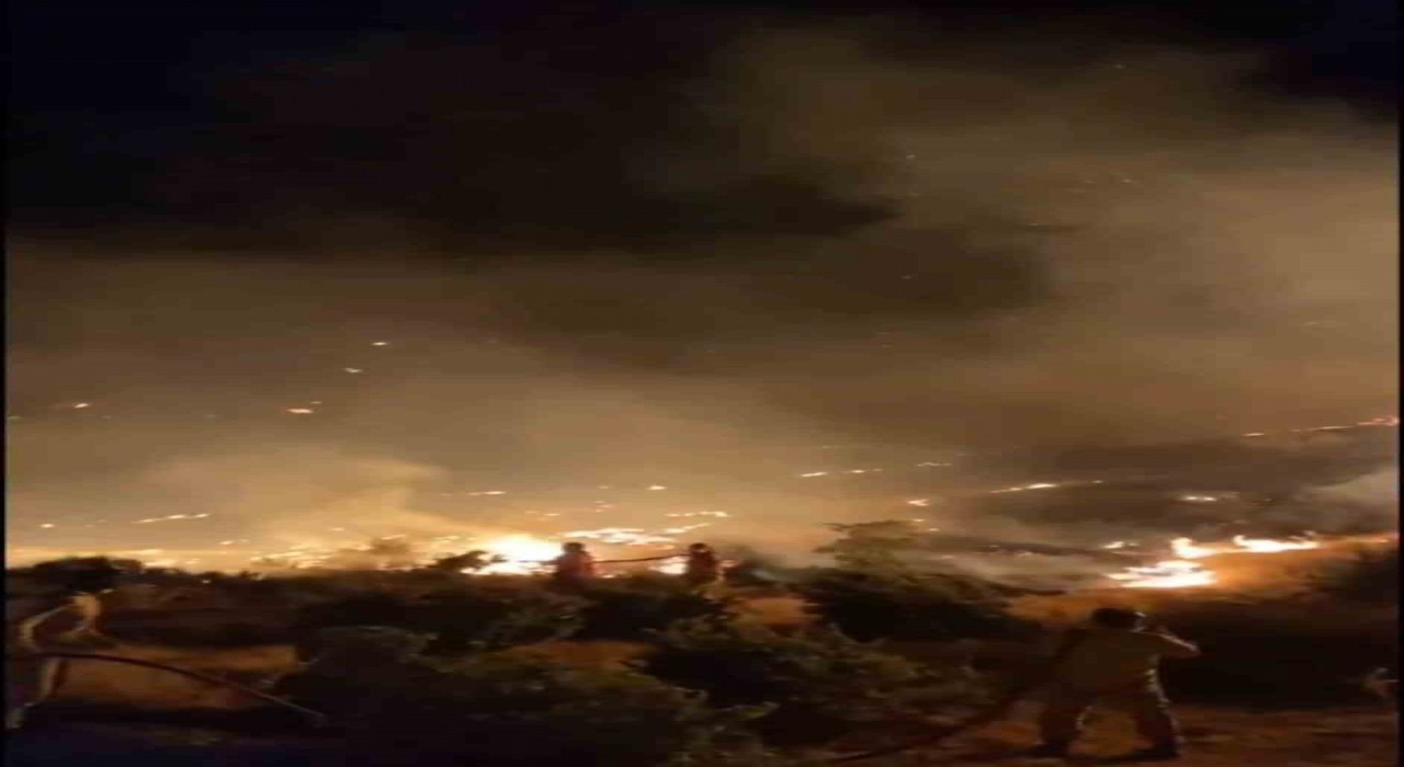 Çanakkalede çıkan orman yangınında yoğun rüzgar ve alevlerle mücadele devam ediyor