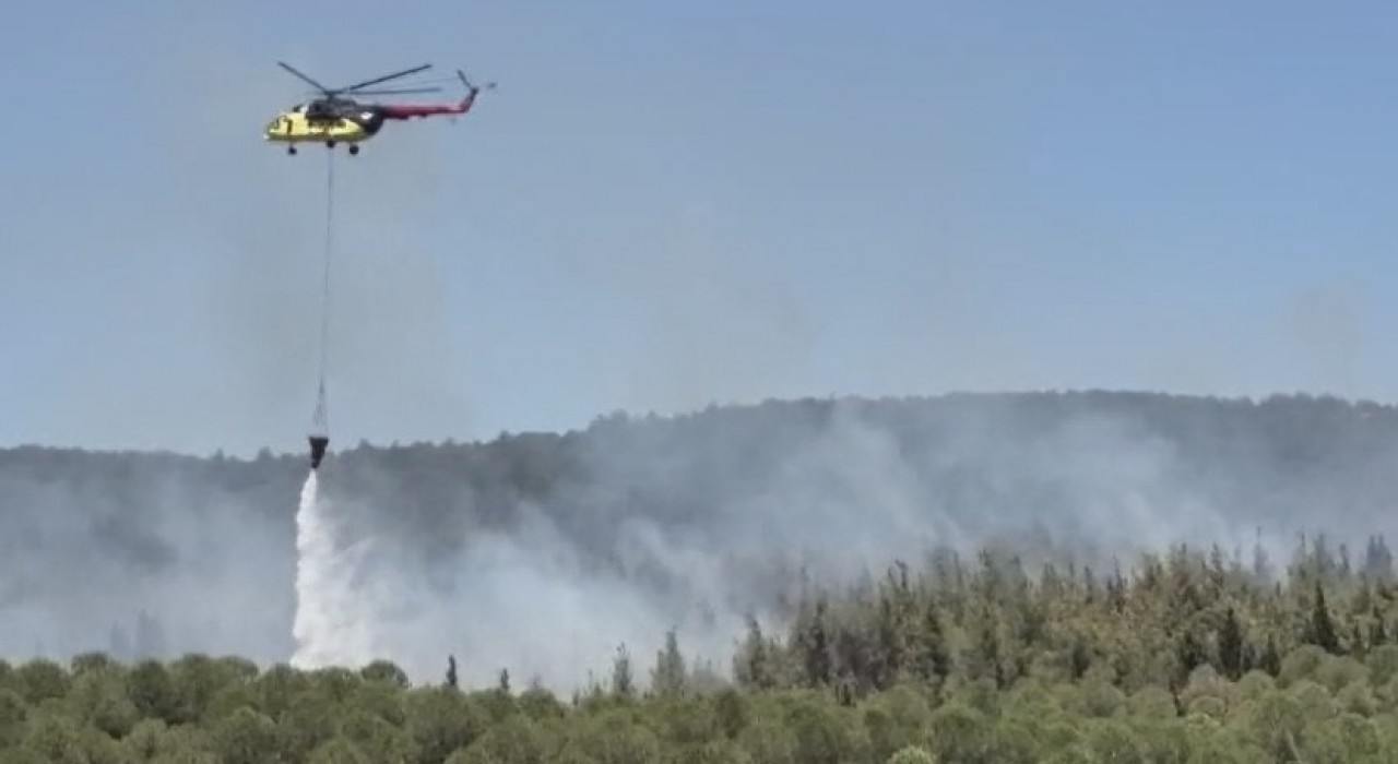 Çanakkalede orman yangını